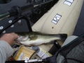 Bruce with a largemouth bass